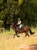DSC04583 DSC04583