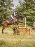 IMG_9808 IMG_9808