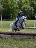 IMG_3812 IMG_3812
