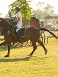 DSC05859