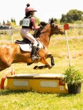 DSC00658 DSC00658