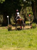 DSC01365 DSC01365