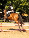 DSC09458 DSC09458