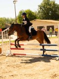 DSC09460 DSC09460