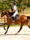 DSC01105 DSC01105