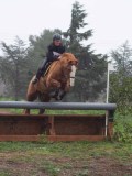 IMG_0134 IMG_0134
