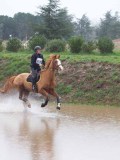 IMG_0138 IMG_0138