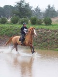 IMG_0139 IMG_0139