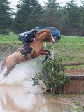 IMG_0143 IMG_0143