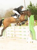 DSC02780 DSC02780