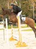 DSC02795 DSC02795