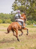 IMG_0008