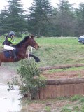 IMG_0062 IMG_0062