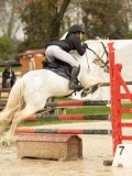 DSC02424 DSC02424