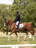 24_03821