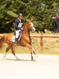 DSC01235 DSC01235