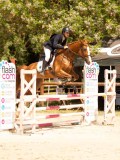 DSC01236 DSC01236