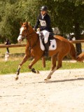 DSC01248 DSC01248