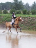 IMG_0152 IMG_0152