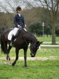 24_09930 24_09930