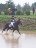 IMG_0253 IMG_0253