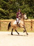 DSC01258 DSC01258