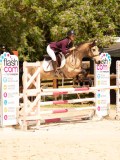 DSC01259 DSC01259