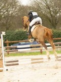 DSC02735 DSC02735