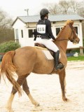 DSC02738 DSC02738