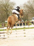 DSC02739 DSC02739