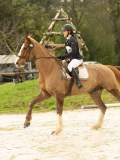 DSC02745 DSC02745