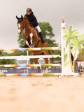 DSC00576 DSC00576
