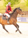 DSC02529 DSC02529