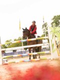 DSC02534 DSC02534