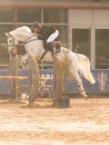 DSC04265 DSC04265