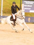DSC04272 DSC04272