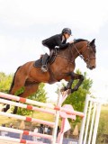 DSC07655 DSC07655
