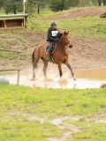 DSC06950 DSC06950