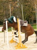 DSC02869 DSC02869