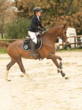 DSC02980 DSC02980