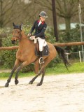 DSC02880 DSC02880