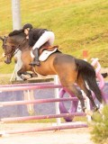 DSC02625 DSC02625