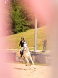 DSC07666 DSC07666