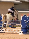 DSC07678 DSC07678