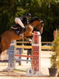 DSC09595 DSC09595