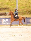 DSC01258 DSC01258