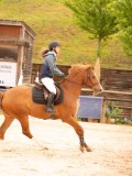 DSC01267 DSC01267