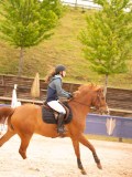 DSC01268 DSC01268