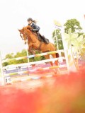 DSC01275 DSC01275