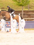 DSC00968 DSC00968